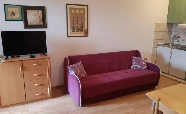 Apartman-Dmitrovic-Zlatibor-10