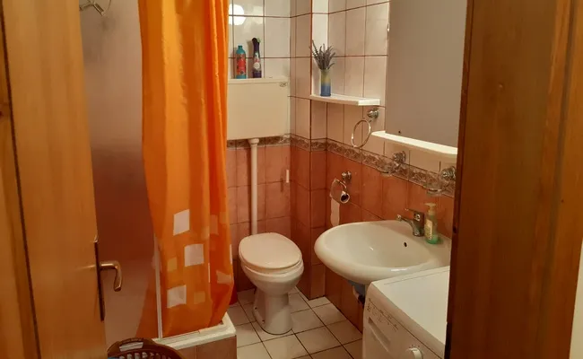 Apartman-Dmitrovic-Zlatibor-11