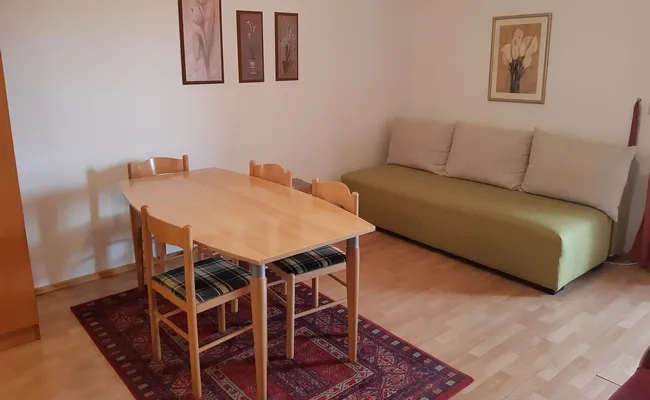 Apartman-Dmitrovic-Zlatibor-8
