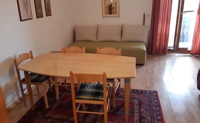 Apartman-Dmitrovic-Zlatibor-9
