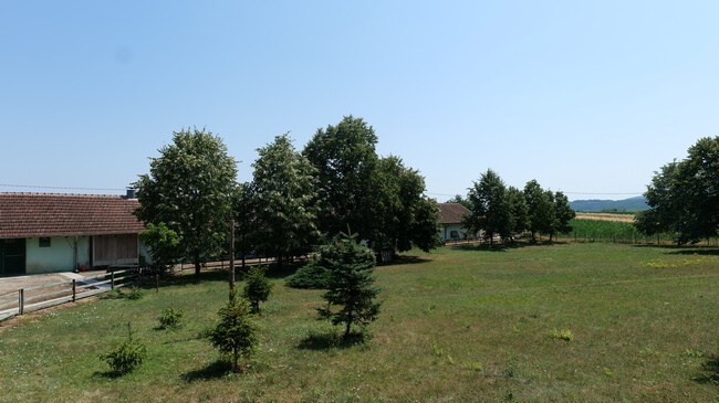 Farma-Ilic-12