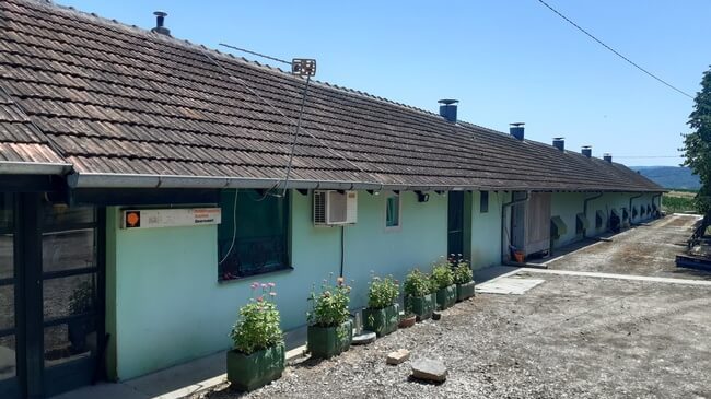 Farma-Ilic-2