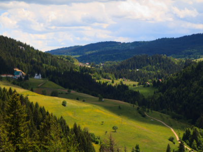 Zlatar