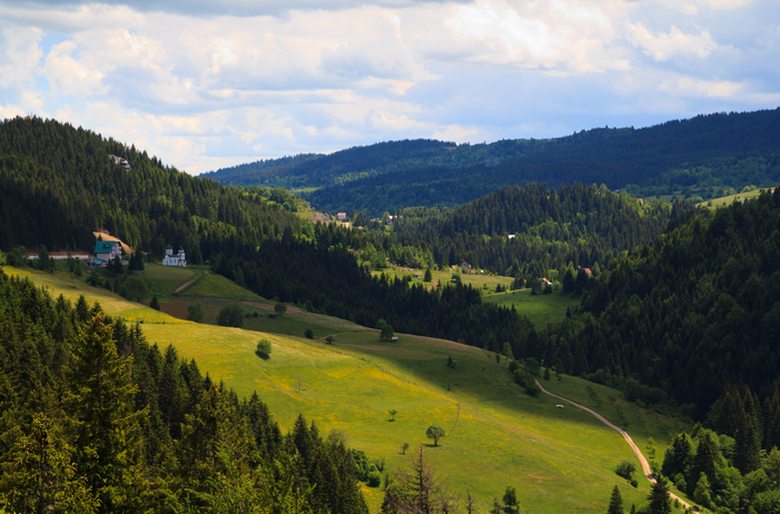 Zlatar