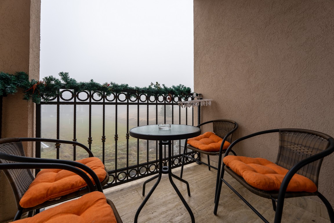 apartman s 35 u vili elsa 1 - zlatibor - 15