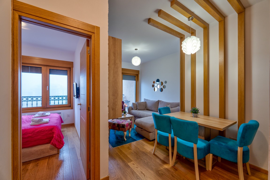 apartman s 35 u vili elsa 1 - zlatibor - 4