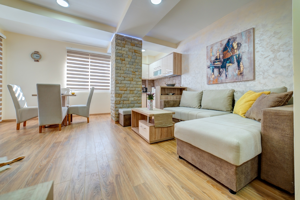 apartman gondola 22 - zlatibor - 1