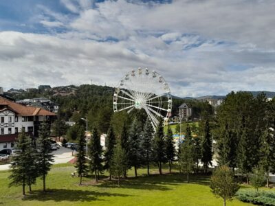 Zlatibor priroda