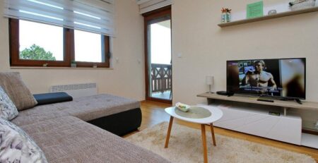 Prodaje se kompletno opremljen stan, na trećem spratu, površine 40m2 u Vili Zlatibor 4. Zgrada poseduje wellness i spa centar za vlasnike
