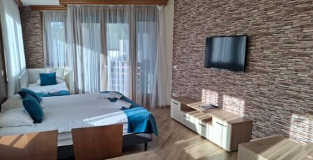 studio central 302 - zlatibor - glavna