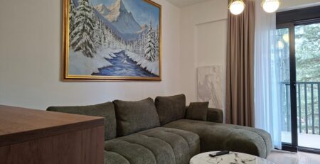 Prodaje se stan površine 54m2 na Zlatiboru, kompletno opremljen, na četvrtom spratu, iznad restorana Lekip, preko puta hotela Mona.