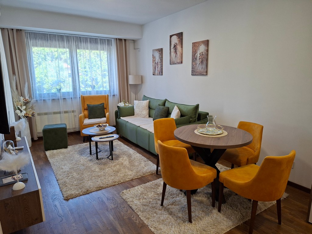apartman katleja 21 - zlatibor - 9